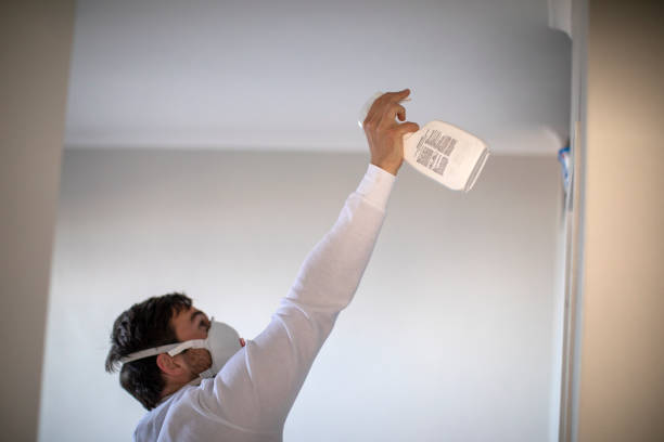 Best Post-Remediation Services in North Patchogue, NY