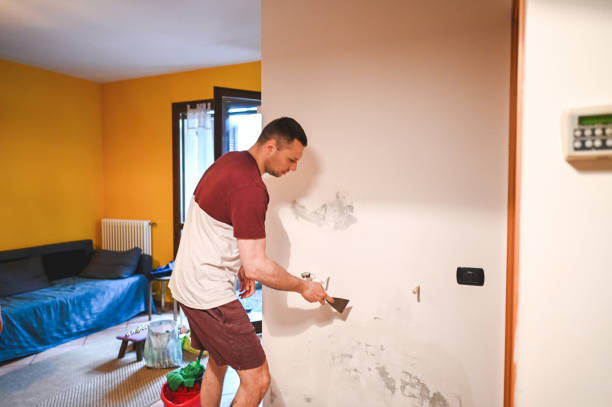 Best Health and Safety Mold Remediation in North Patchogue, NY